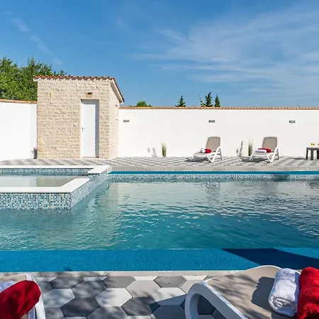 David S Bazenom * Podusje